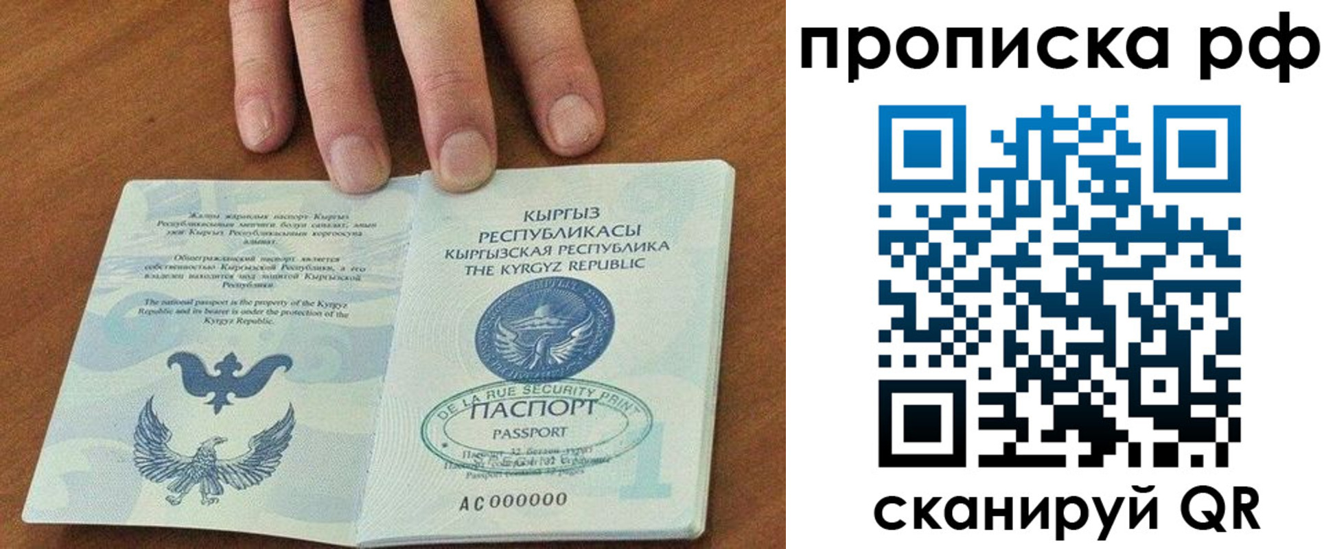 временная регистрация недорого в Камчатской области